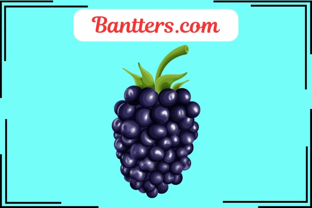 Blackberry Puns