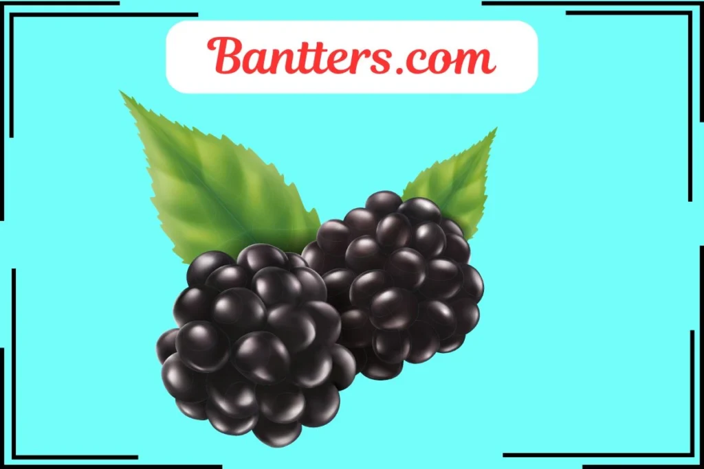 Blackberry Puns