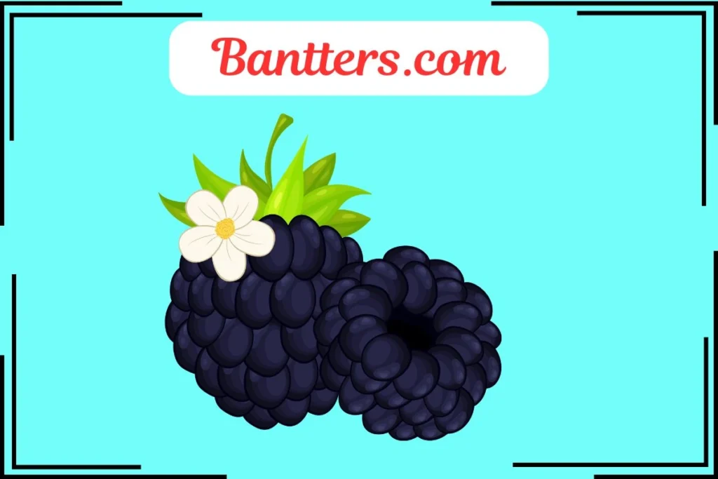 Blackberry Puns