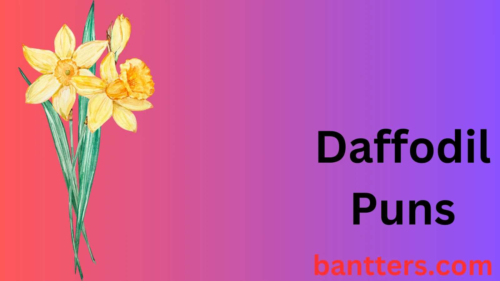 Daffodil Puns