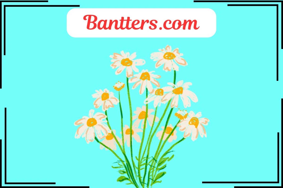 Flower Puns