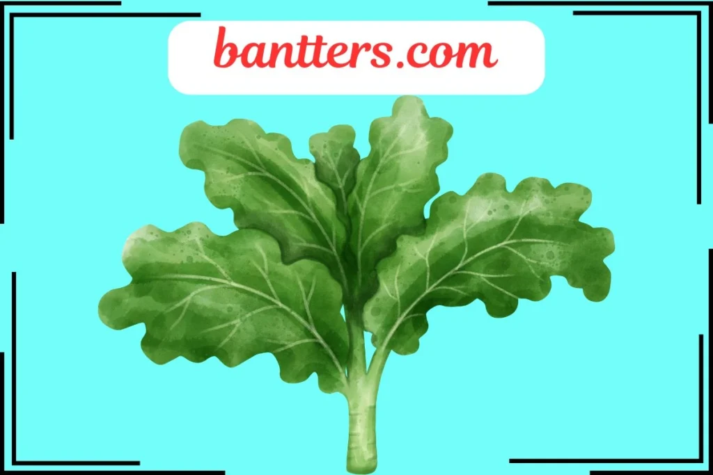 Kale Puns