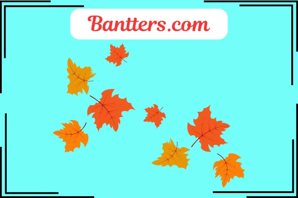 Maple Puns