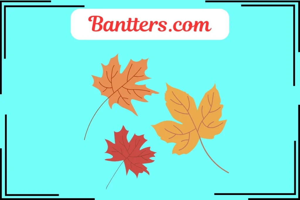 Maple Puns