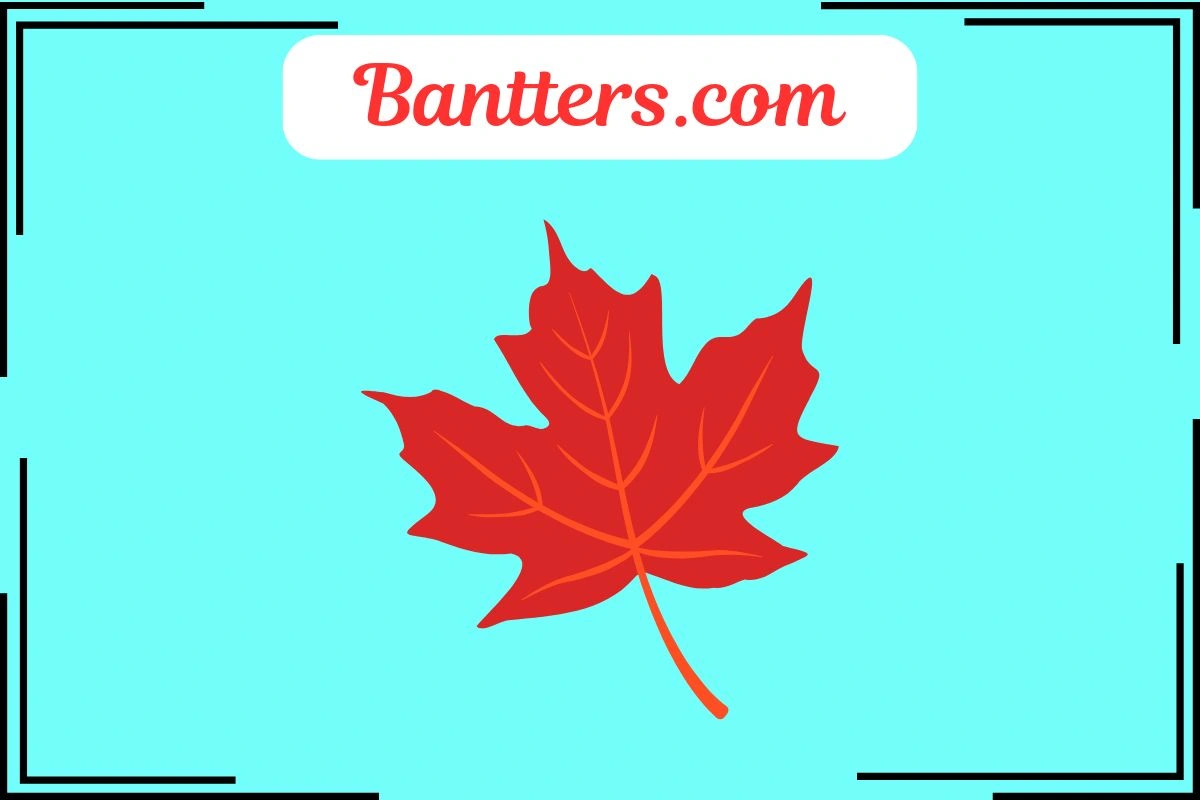 Maple Puns
