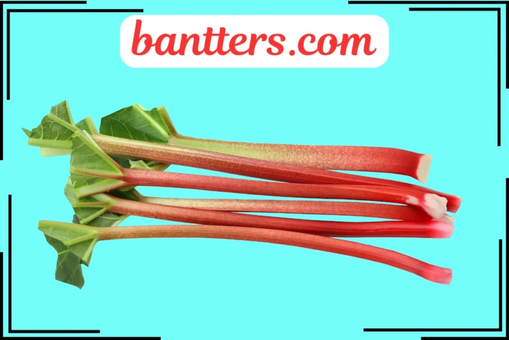 Rhubarb Puns