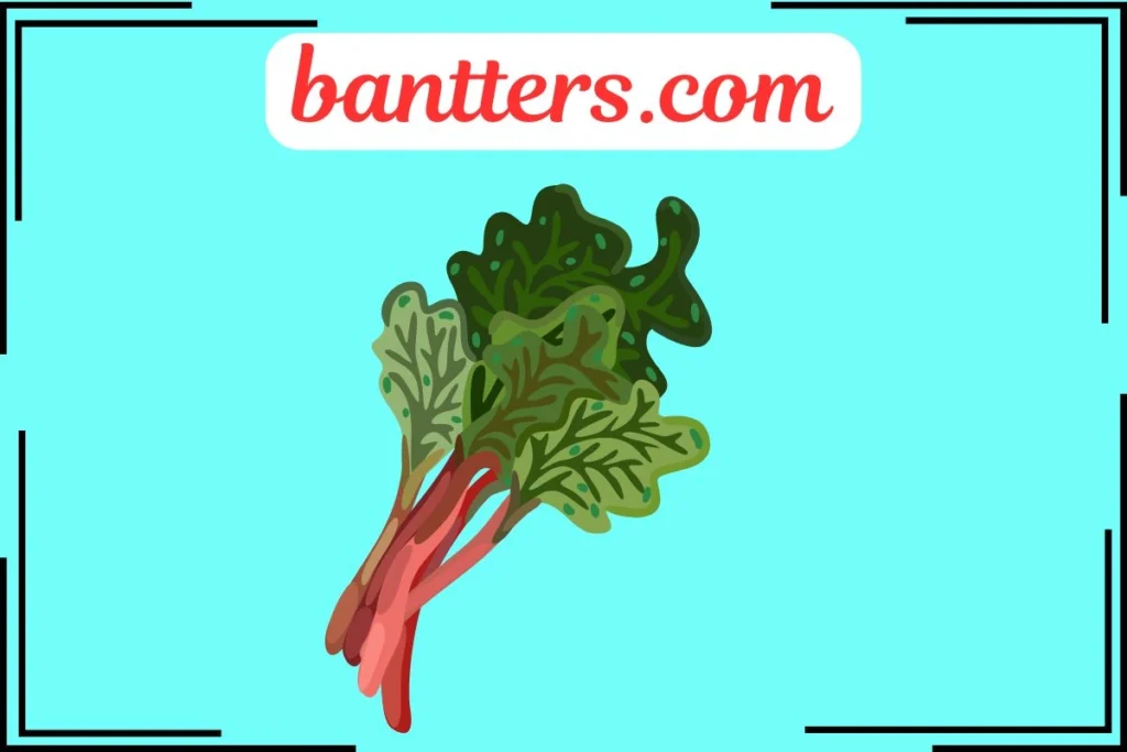 Rhubarb Puns