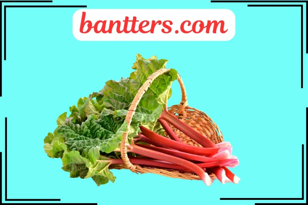 Rhubarb Puns