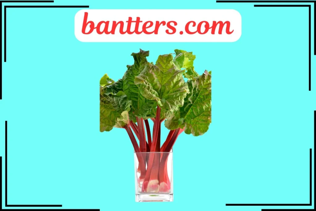 Rhubarb Puns