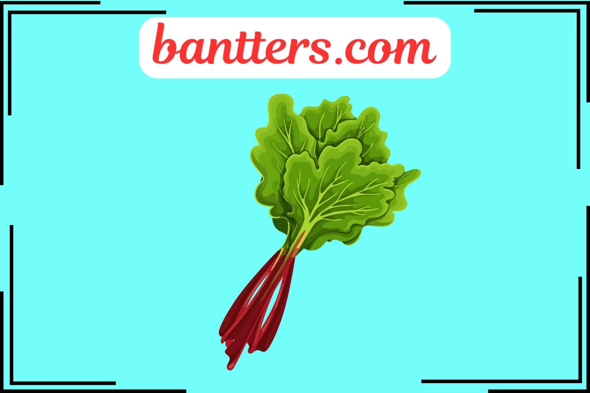 Rhubarb Puns