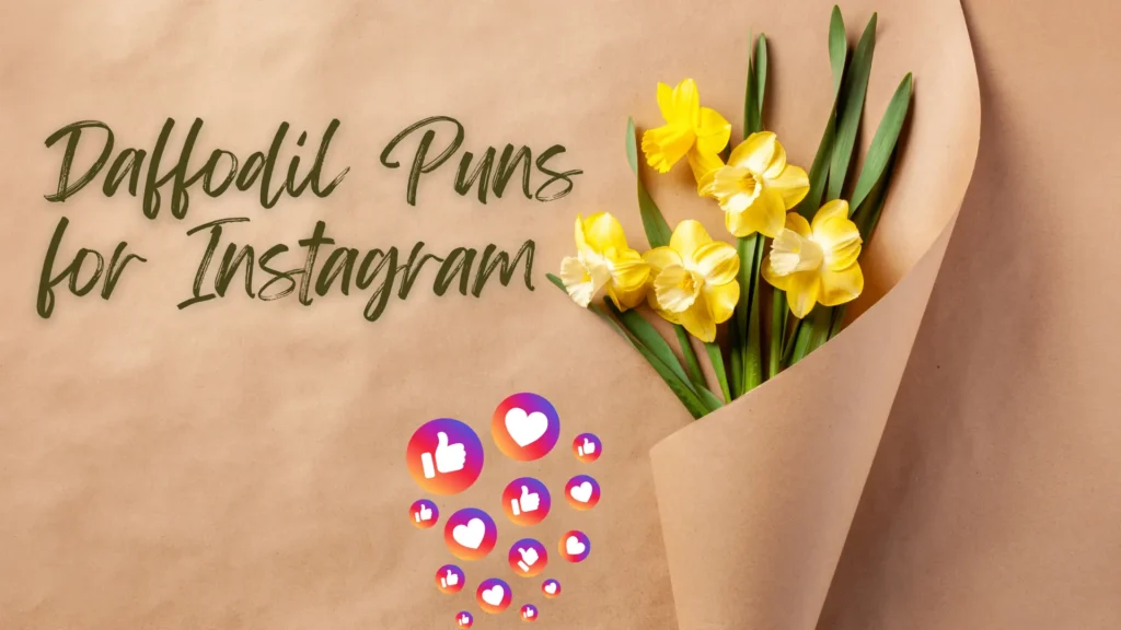 Daffodil Puns for Instagram
