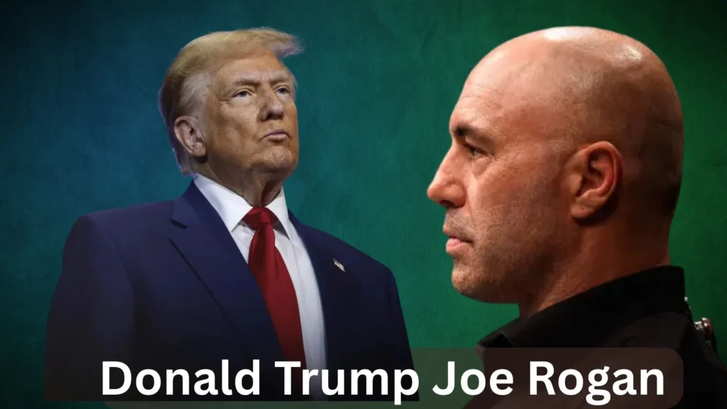 Joe Rogan Net Worth