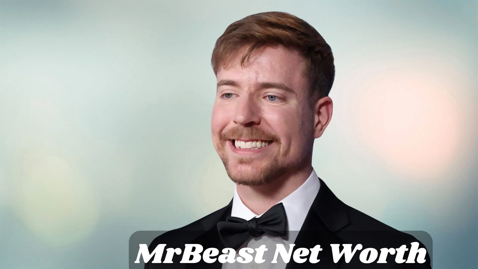 MrBeast Net Worth